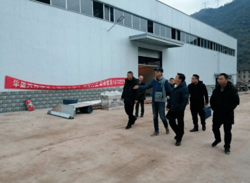 項城市副縣長馬伊深入調研竹筍加工廠建設，推動鄉村產業振興