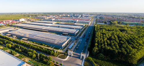 衡水新聞網項城網站建設 打造地方新聞傳播新陣地