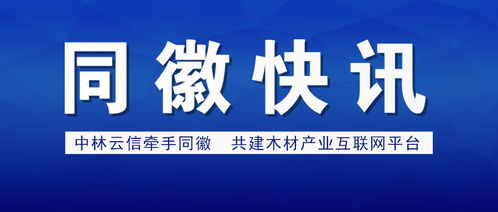 項城醫藥行業網站建設解決方案 打造數字化健康門戶